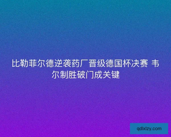 比勒菲尔德逆袭药厂晋级德国杯决赛 韦尔制胜破门成关键